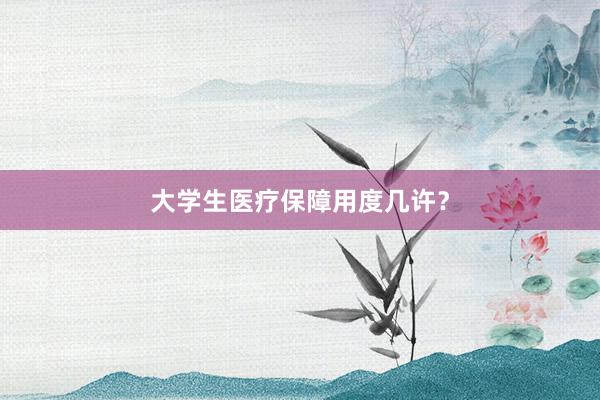 大学生医疗保障用度几许？