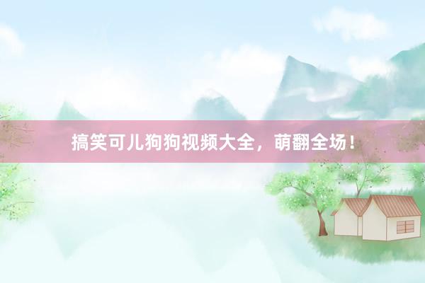 搞笑可儿狗狗视频大全，萌翻全场！